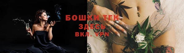 PSILOCYBIN Абаза