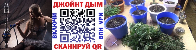 Конопля конопля Фрязино